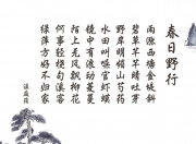 开云体育入口-哈基米闪电绝杀，秘鲁人书写2026世界杯H组最荡气回肠的强强对话