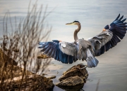 开云体育APP下载-当铁血压迫遇上艺术灵魂，绿茵交响诗中的苏亚雷斯时刻