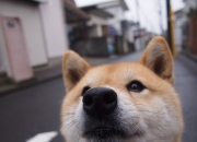 开云平台-唯一性的定义，当弗拉霍维奇化身叹息之墙，一场比赛如何改写我们对天才的全部想象？