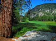 开云体育-以下是为您构思和撰写的文章