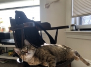 开云体育入口-奥利维耶的指挥家交响曲，秘鲁如何在中场大师的引领下技术性击倒厄瓜多尔