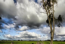 开云-湖人107：皇马3！这场元宇宙德比，暴露了足球的致命短板