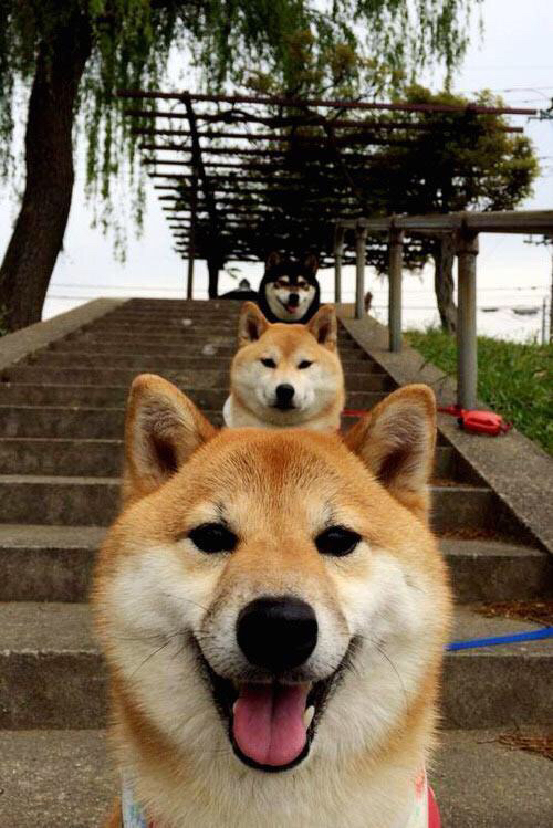 狂想曲与精密机器,当东契奇点燃天际,北京队正编织无懈可击的网