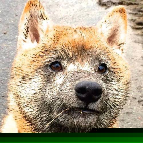 失效的时钟与拉梅洛,世界排名争夺战之夜唯一被重新定义的瞬间