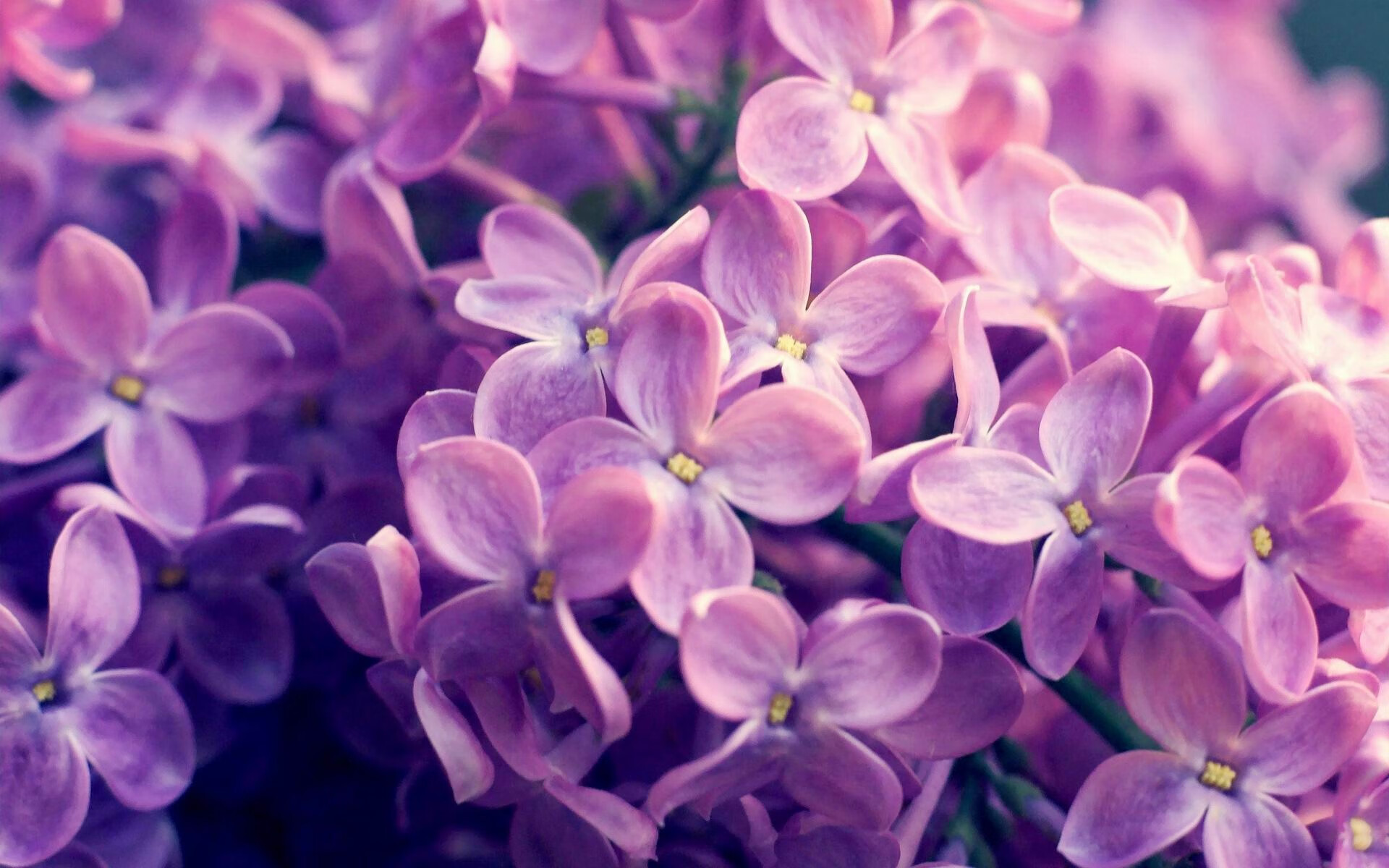 最漫长一夜与最年轻的星，当莫兰特成为奥运周期的胜负手