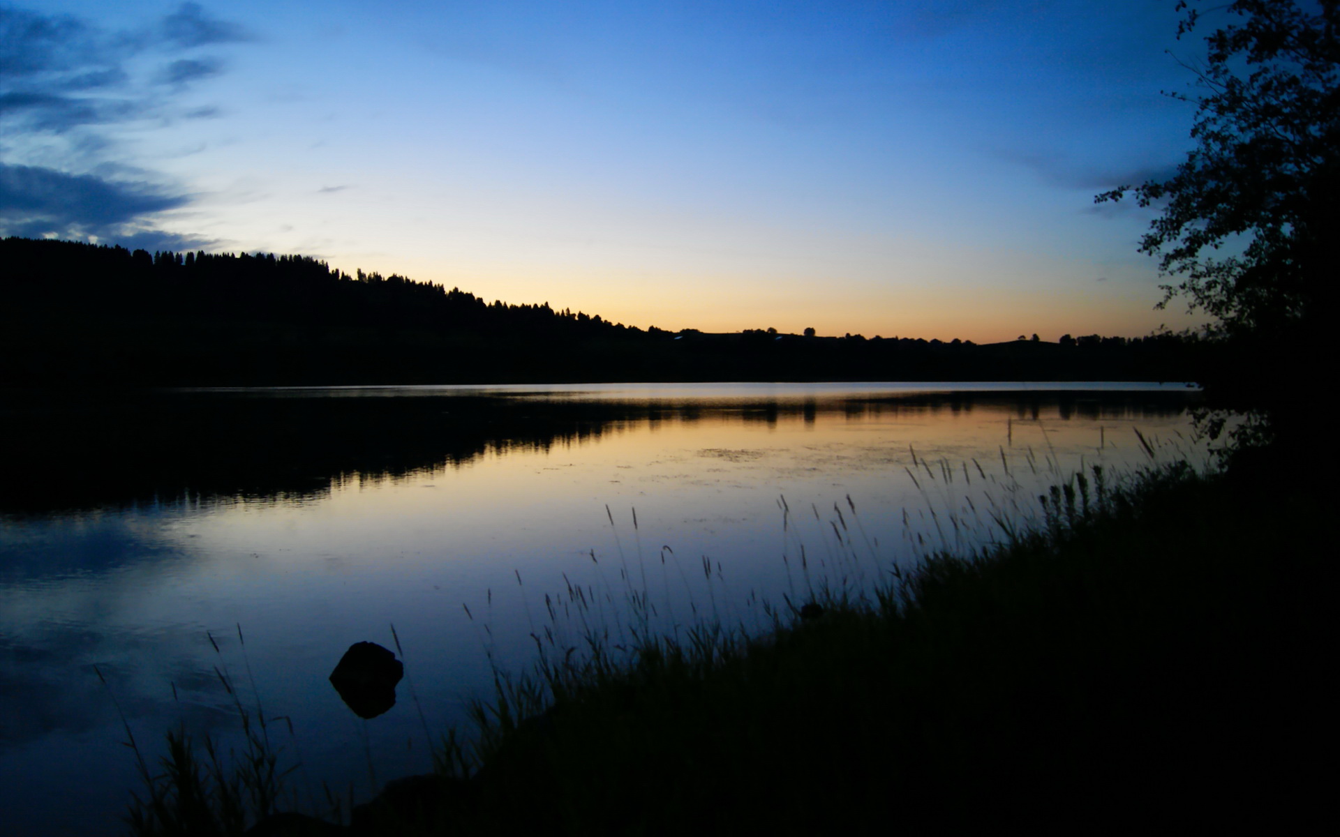 德里赫特,在波兰与突尼斯的棋局旁,一个荷兰幽灵的惊艳凝视