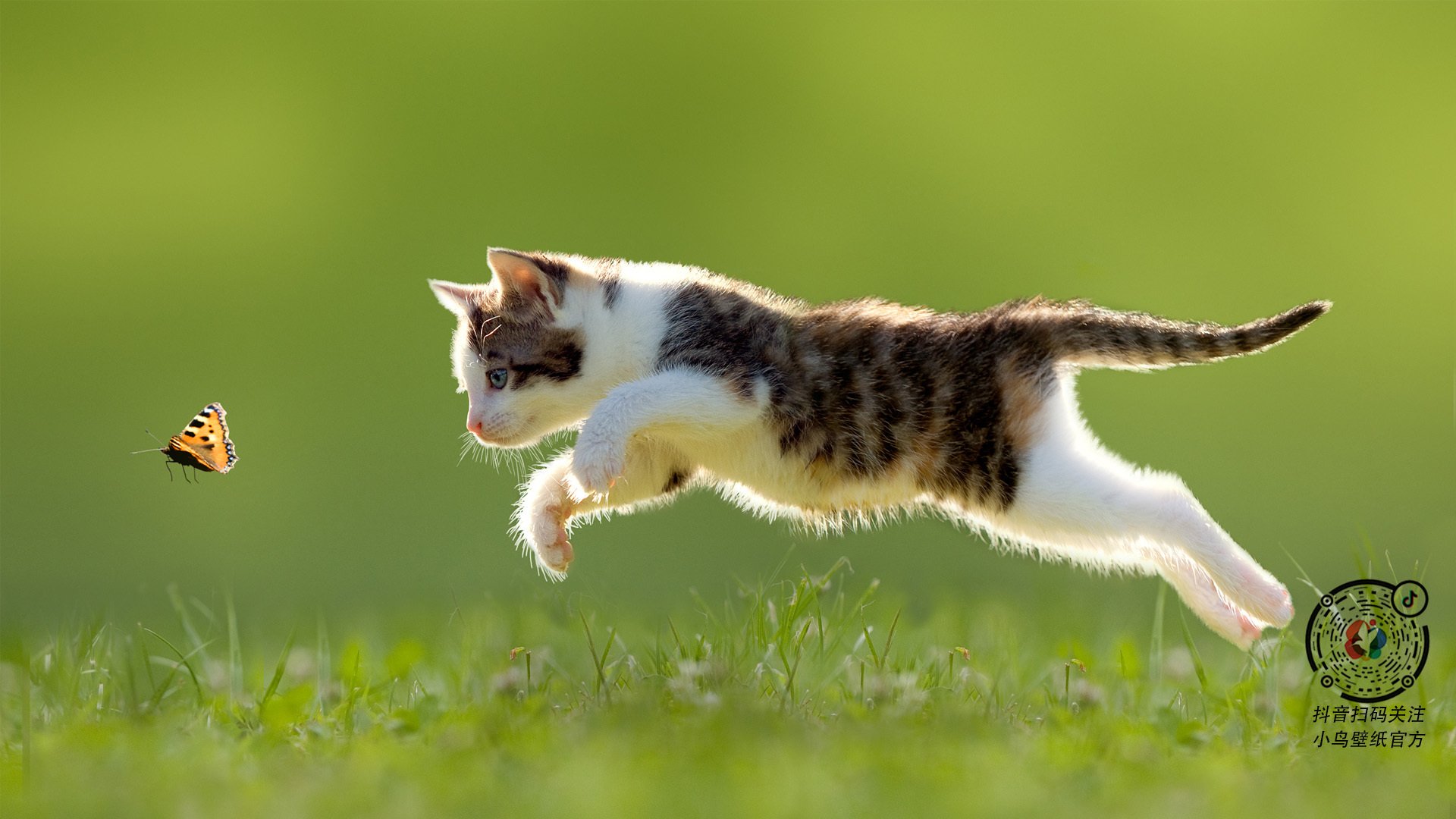 铁血防线上的艺术家,巴斯托尼冠军级表现助墨西哥硬仗擒希腊