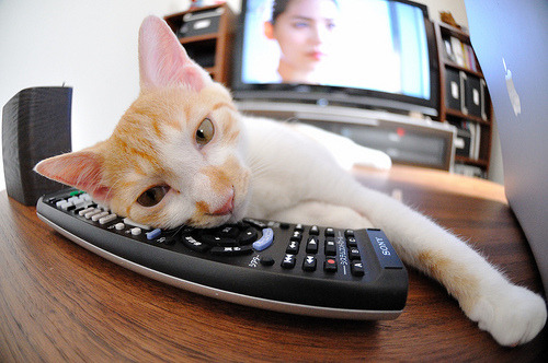 地板与赛道，跨越竞技场的硬核胜利