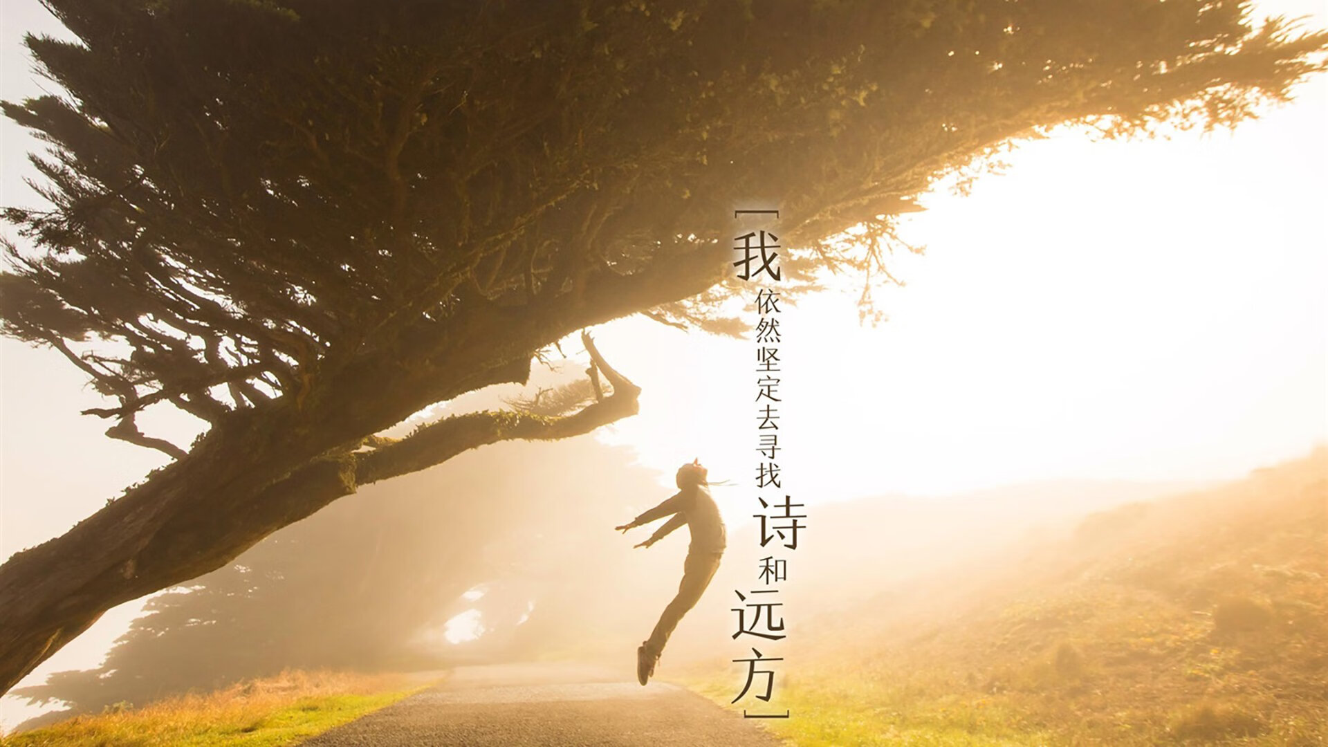 喀麦隆战锤击碎星辰，西亚卡姆在排名之夜重塑攻防法则