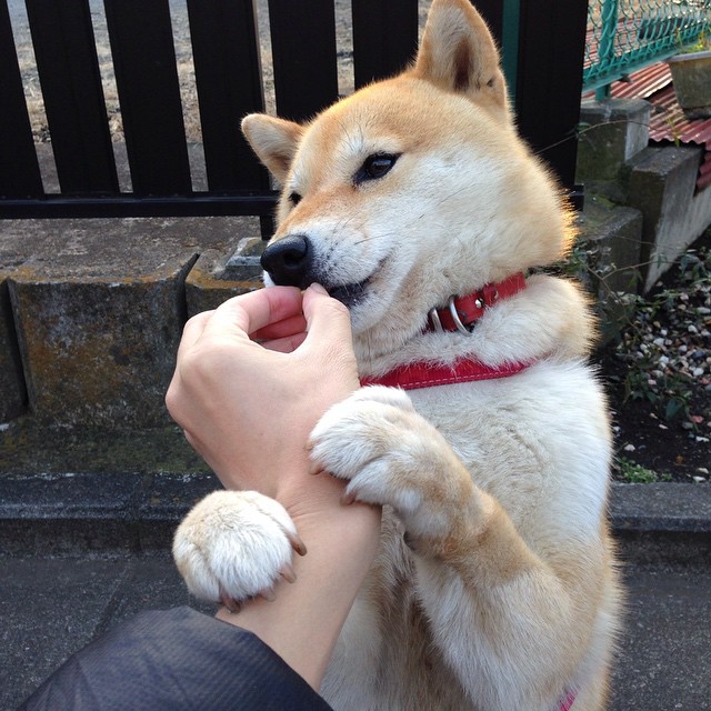 体育巅峰时刻，曼城征服中国，帕尔默统治F1街道