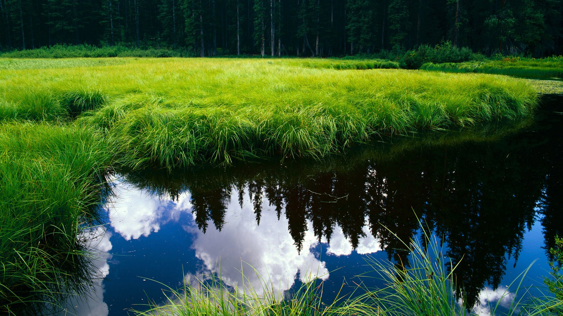 浪潮之下,当掘金带走浙江,字母哥刷新纪录的双重冲击波