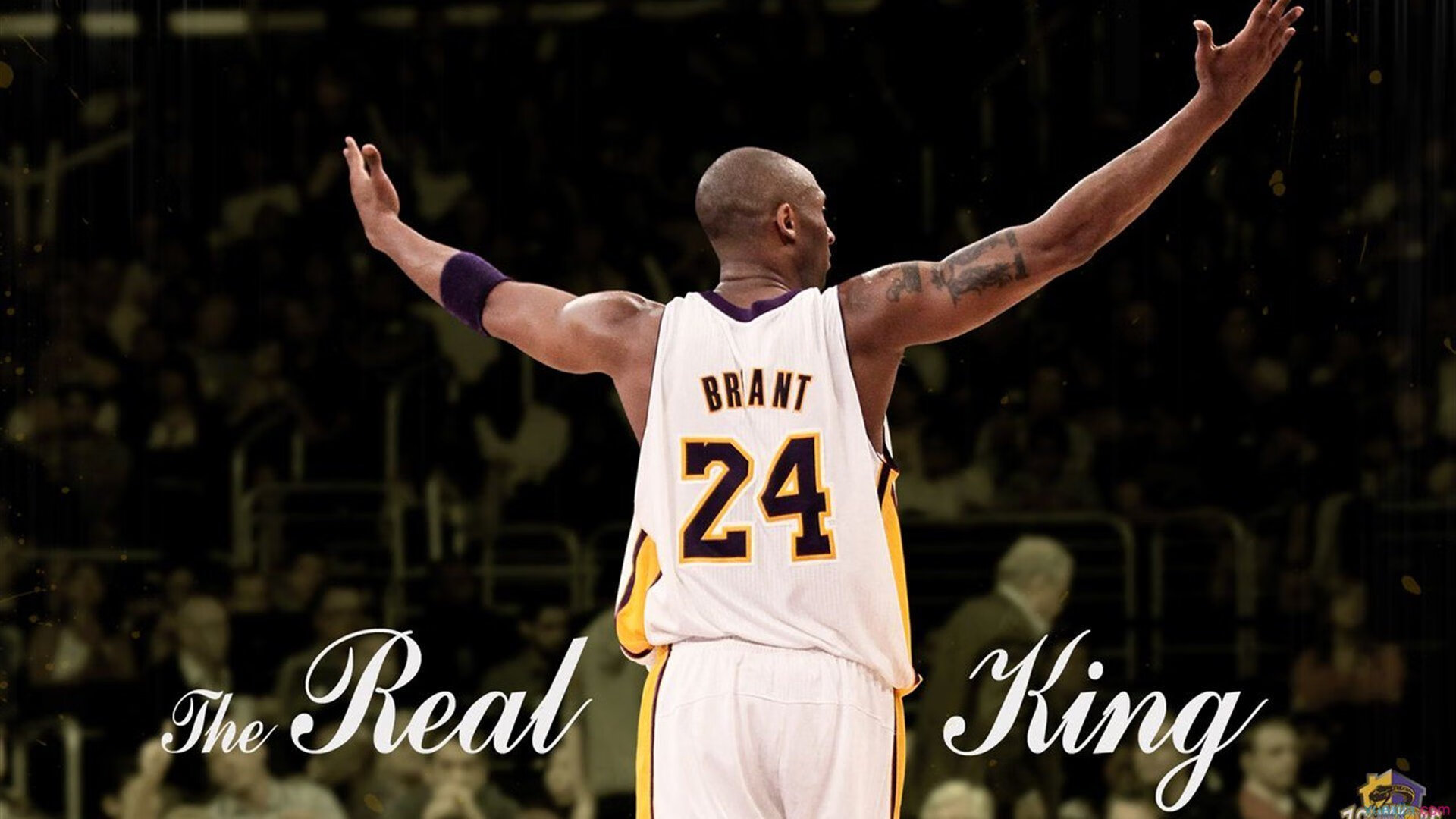 火力压制与关键先生，东亚新秩序与南美孤胆英雄