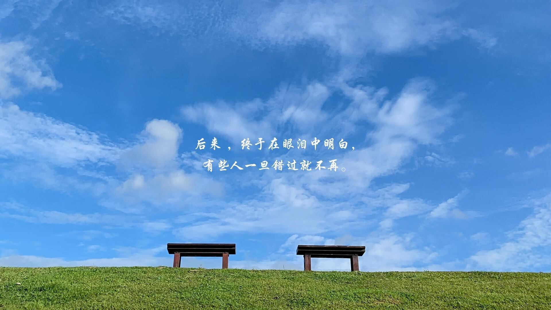 2026世界杯A组悬念之夜,C罗控场引领尼日利亚击退智利,胜负手藏于唯一性之中